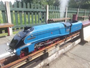 LNER A4 Mallard 4468 - 5 Inch, Live Steam Locomotive